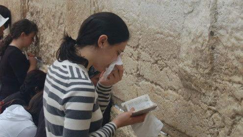 娱乐吃瓜君名媛是谁啊免费阅读,名媛身份大揭秘，免费阅读带你一探究竟